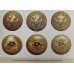 Пуговица военного времени для чинов РИА, сталь,  диаметр 22 мм, обр. 1914 г.